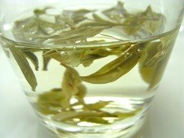 Darjeeling White