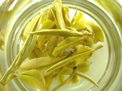 Darjeeling White Tea