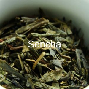 sencha